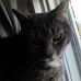 Jon Brenner - Facebook