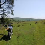 Jon Britton - @jonpipeman - Instagram