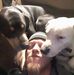 Jon Britton - Facebook