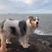 Jonny Bromley - Facebook
