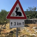 Jon Bruce - @jonfbruce - Instagram