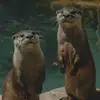 jon Bruce - @jon.bruce2 - TikTok