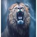 Jon Brush - Facebook