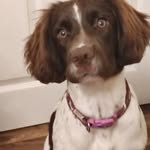 Jon Buckingham - @jon.buckingham - Instagram
