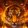 Jon Buckingham - @jon.buckingham - TikTok