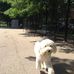 Jon Bushnell - Facebook