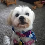 jon Bushnell - @jon46191 - Instagram
