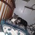 Jon Bushnell - Facebook