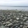 John Butterfield - @john.butterfield4 - TikTok
