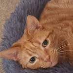Jon Button - @jon_jenson_button - Instagram
