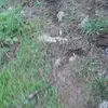 Jon Call - @jon.call4 - TikTok