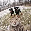 Little pet - @joncall7 - TikTok