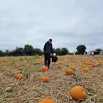 Jon Card - @jonbmthc - Instagram