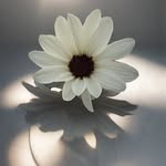 Jon Card - @j.d47.card - Instagram