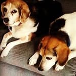 John Collins Cargill - @john.c.cargill - Instagram