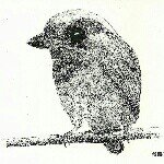 @jon_carman - Instagram