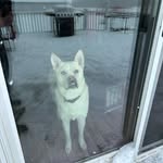 Jon Carpenter - @jcarpy_419 - Instagram