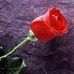 jon carter - Facebook