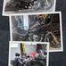 Jon Casteel - Facebook