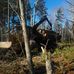 Jon R. Chadwick.  Trucking and Logging - Facebook