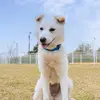 jonchoi2 - @jonchoi2 - TikTok