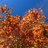 jonchoi - @khris.choi - TikTok