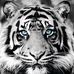 Jon Chun - Facebook