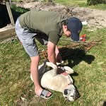 Jon Clemenson - @jon_clemenson - Instagram