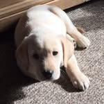 Jon Clifton - @jon_clifton690 - Instagram