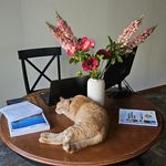 Jon Conelly - @jonconelly - Instagram