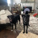 John Conover - @john.conover.5680 - Instagram