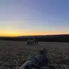 Jon_conti427 - @jon_conti427 - TikTok