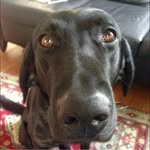 Jon R Conti - @conti.jon - Instagram