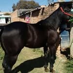 Jon Contreras - @contreras_jon - Instagram