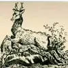 Jon Cool - @jon.cool5 - TikTok