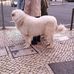 Jon Cool - Facebook