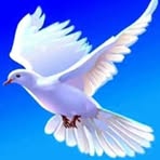 Jon Gere - Facebook
