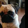 Jon Corkery - @joncorkery - TikTok