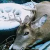 Jon Cota - @jon.cota - TikTok