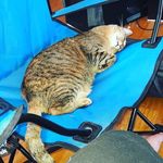 John Cotter - @mccarthy8091 - Instagram