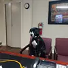 Jonathan Covell - @jonathan.covell - TikTok
