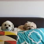 Jon and Sally Cowley - @jonandsallly - Instagram