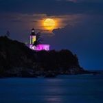 Kelly Jon Johnson-Cowley - @kellyjonjohnsoncowley - Instagram