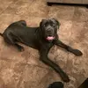 jon_crandall - @jon_crandall - TikTok