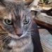 Jonathan Crandall - Facebook