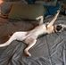 Jonathan Crocker - Facebook