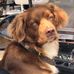 Jon Crowder - Facebook