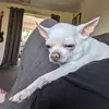joncrowder68 - @joncrowder68 - TikTok