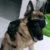 Dante - @jonatdante - TikTok