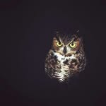 Jon Daugherty - @dangerfieldjjj - Instagram